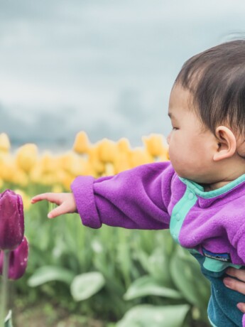 baby and tulips
