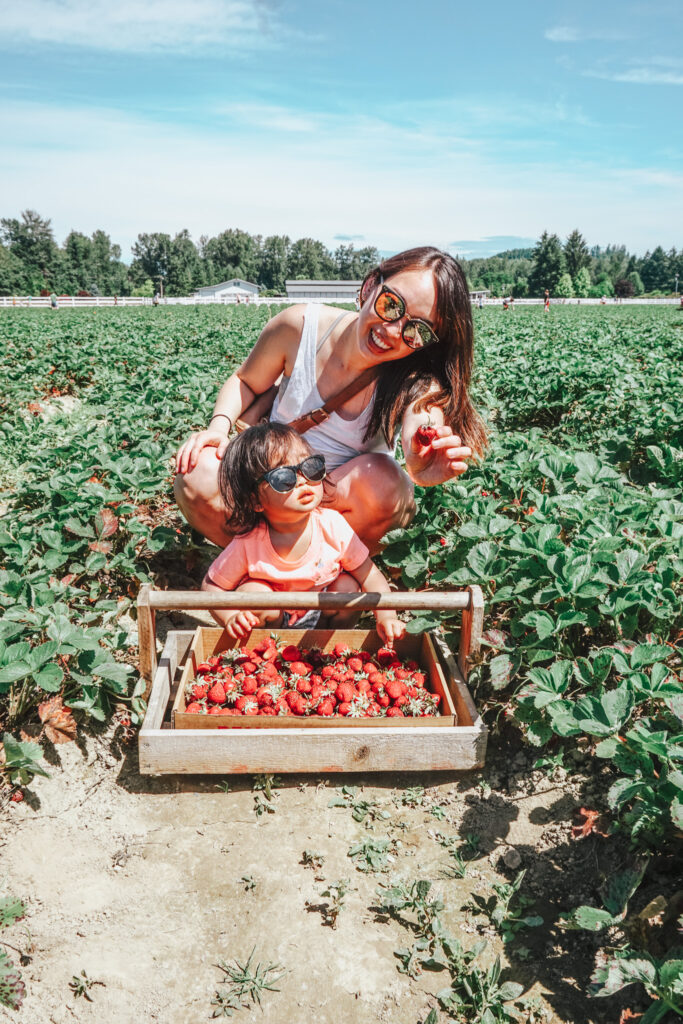 Mom and daughter strawberry picking